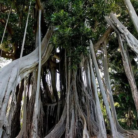 Appartement Lujoso Completo, Piscina, Terraza Con Vistas Al Teide