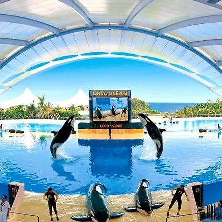 Lujoso Completo, Piscina, Terraza Con Vistas Al Teide *
