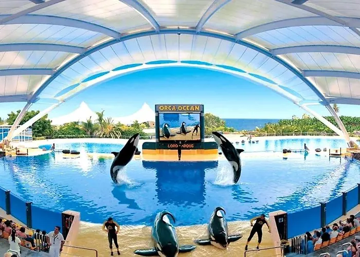 Lujoso Completo, Piscina, Terraza Con Vistas Al Teide *
