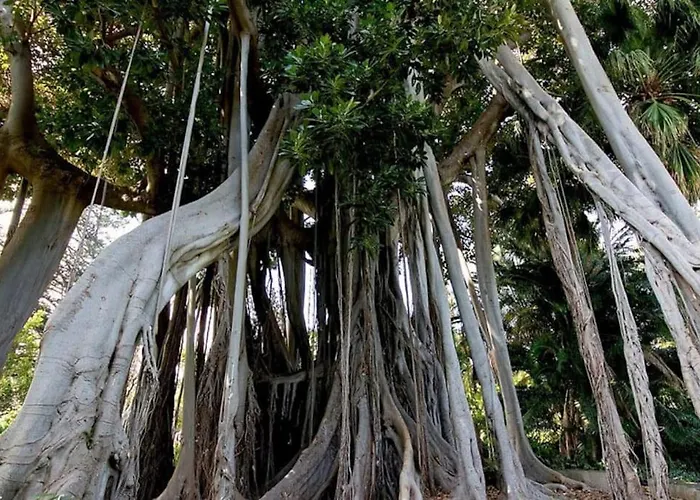 Apartamento Lujoso Completo, Piscina, Terraza Con Vistas Al Teide